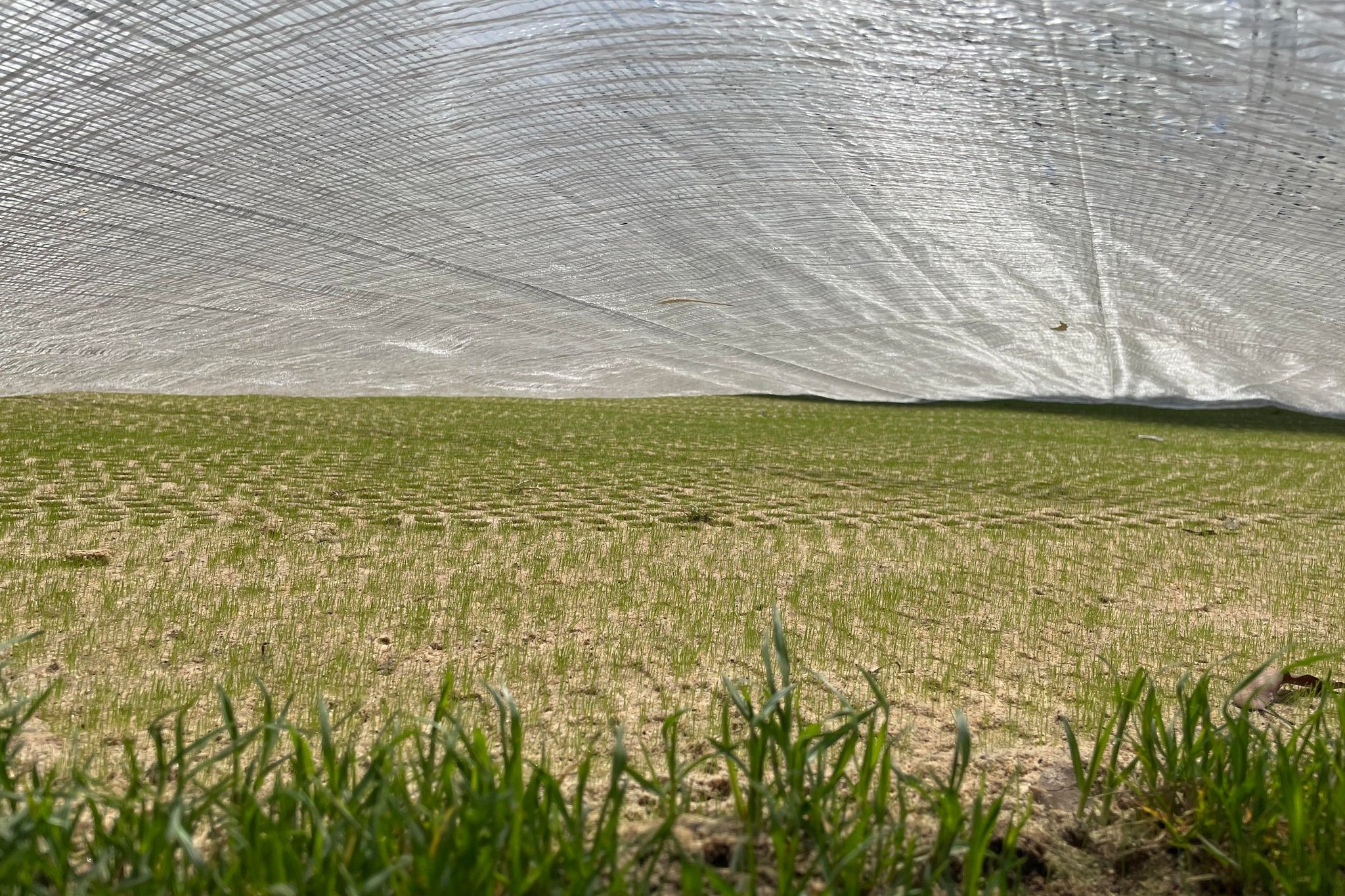 Breakers Country Club - Breakers Golf Club - Breakers MOU - illustration 4f0abbef-17ee-421c-b240-da852efd7890