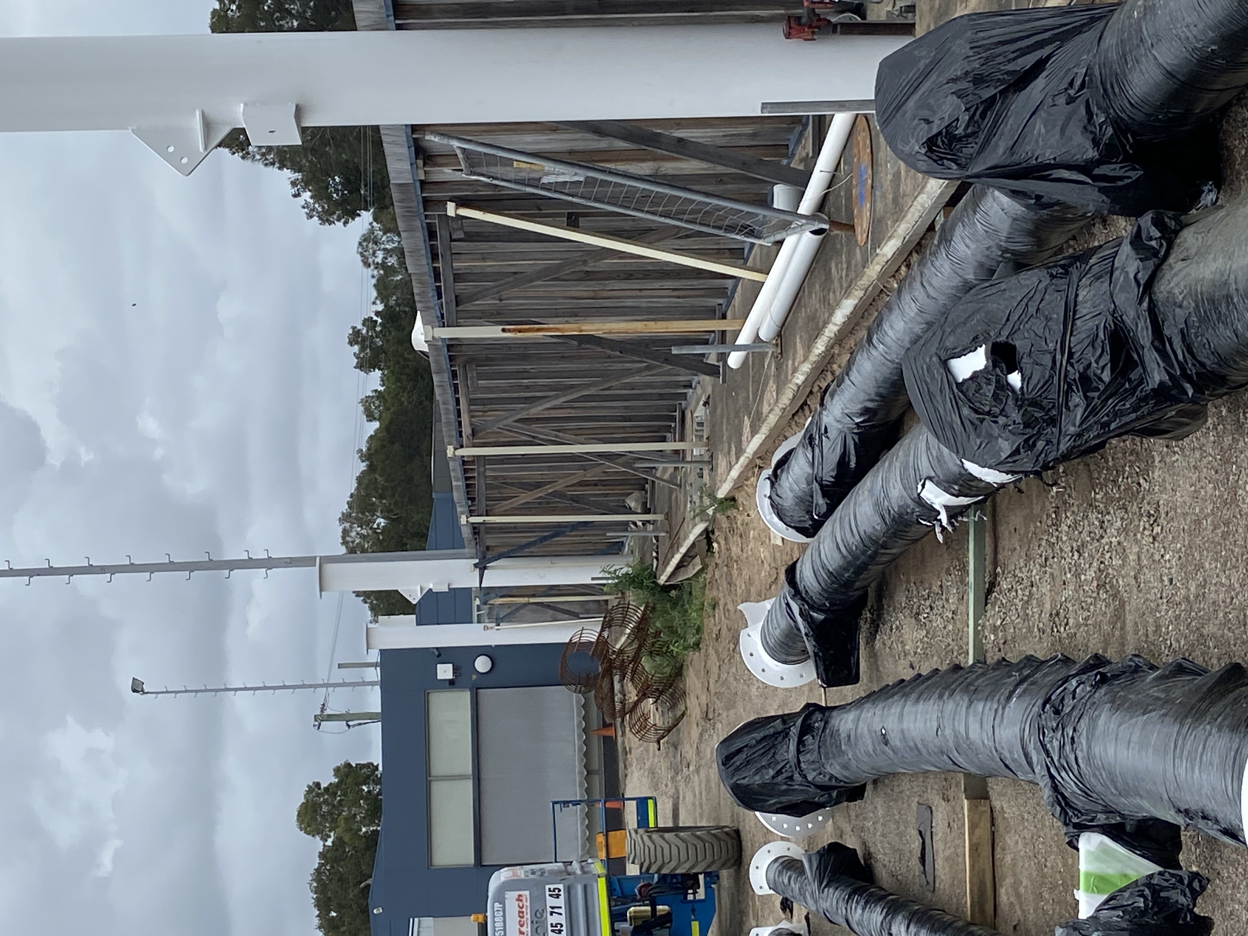 Hali Bowling Club | NSW Central Coast | Bar in Budgewoi | Central Coast pubs | Restaurants Central Coast | Best restaurants Central  Coast - Halekulani Member Updates - illustration dc08e3ab-cfa6-4d33-ac66-d7ab98f17ef5