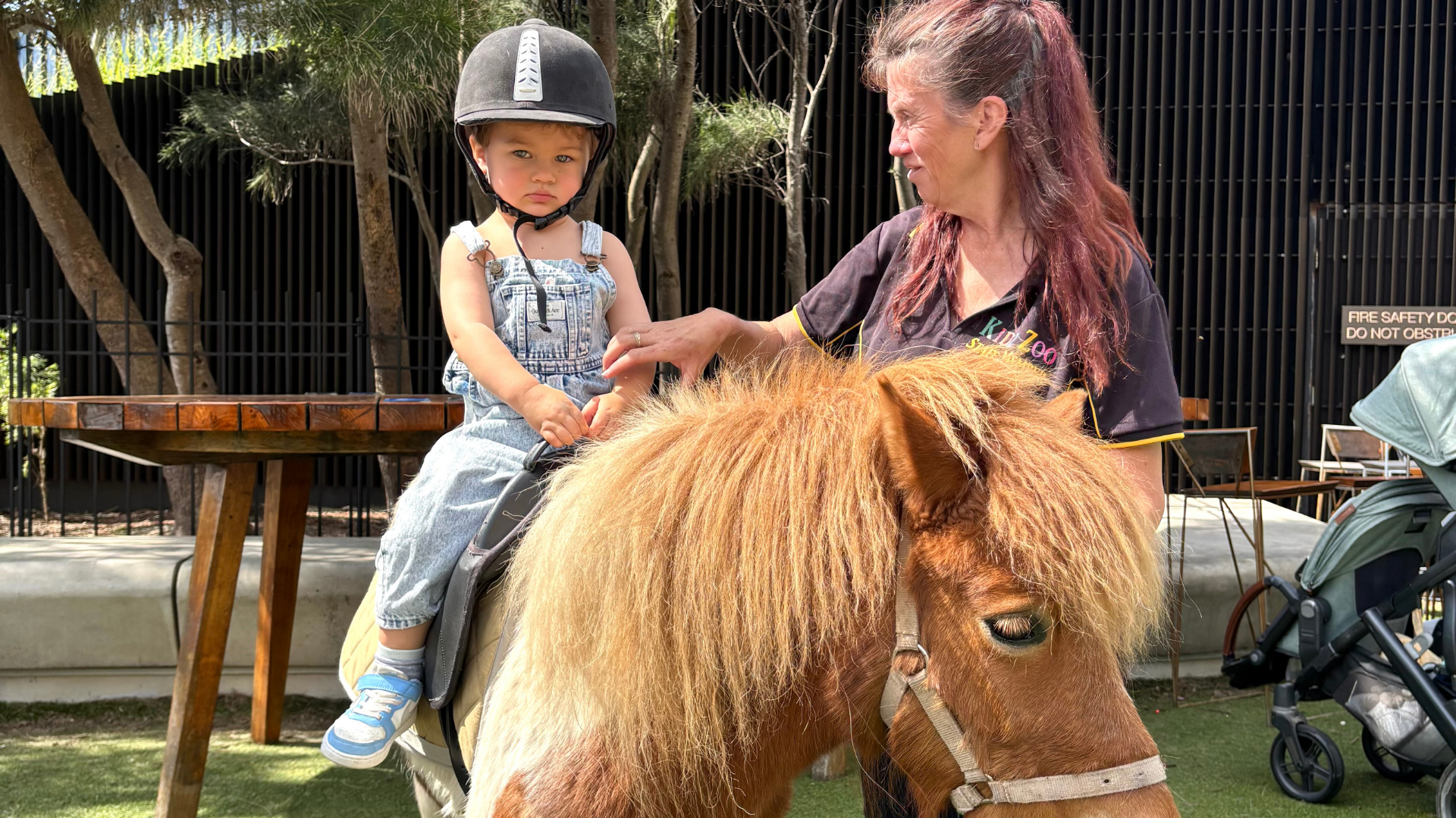 Harbord Diggers | Community groups Northern Beaches | Charities Sydney | Charities Northern Beaches - Entertainment & Events - illustration 15a9170a-deb6-4037-9532-aa9d1aa6e6d3