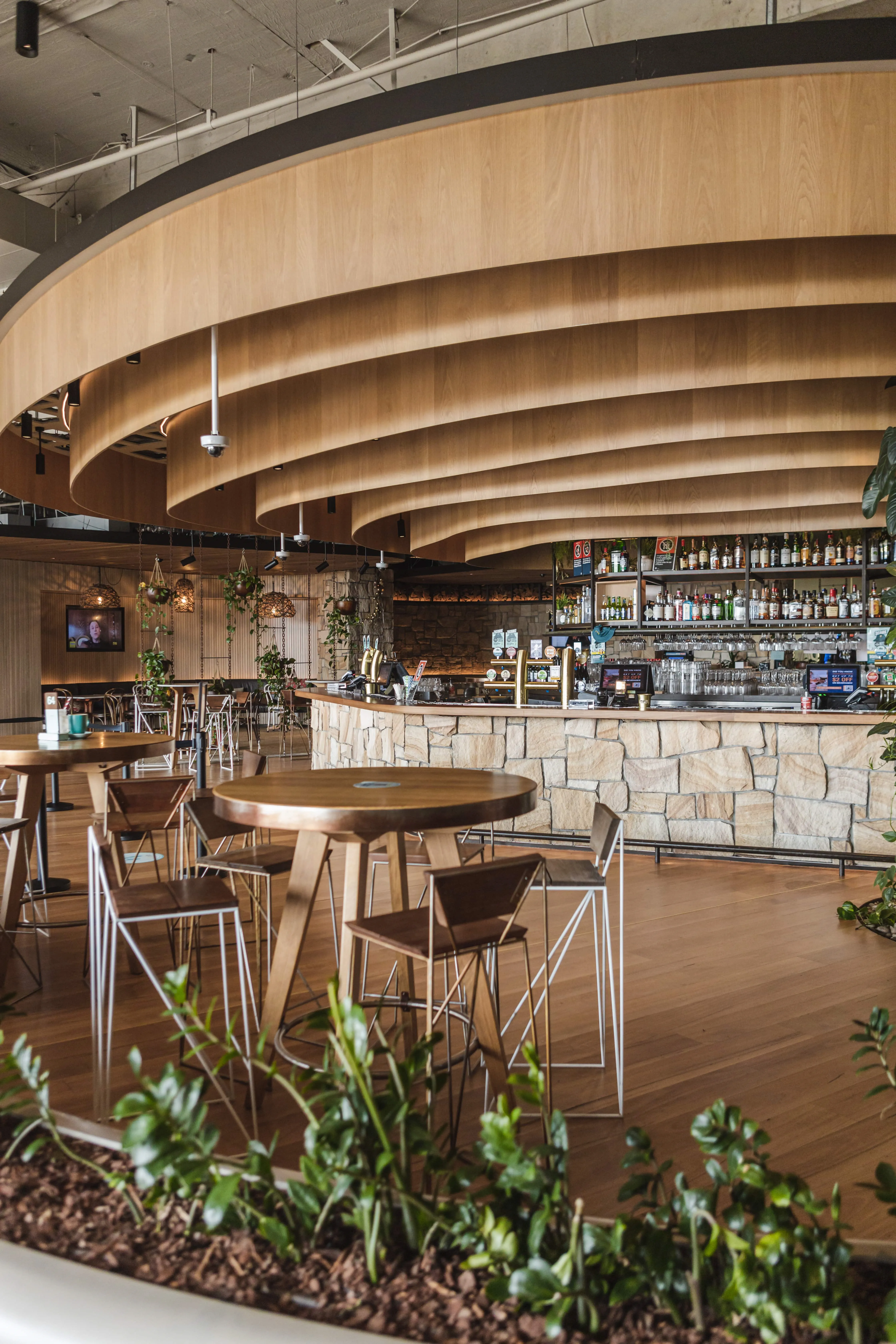 Harbord Diggers | Community groups Northern Beaches | Charities Sydney | Charities Northern Beaches - Main Bar - illustration 6dab5a46-af3b-499c-8478-9436aa7080de