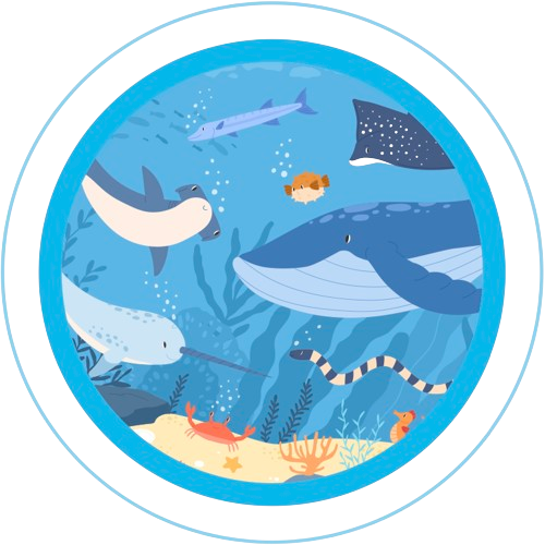 Major Fun - Sydney's Best Indoor Playcentres - Western Sydney - Northern Beaches - 2024 Main Home Page - illustration 9341039c-296b-4886-a304-19bf30e21ae1