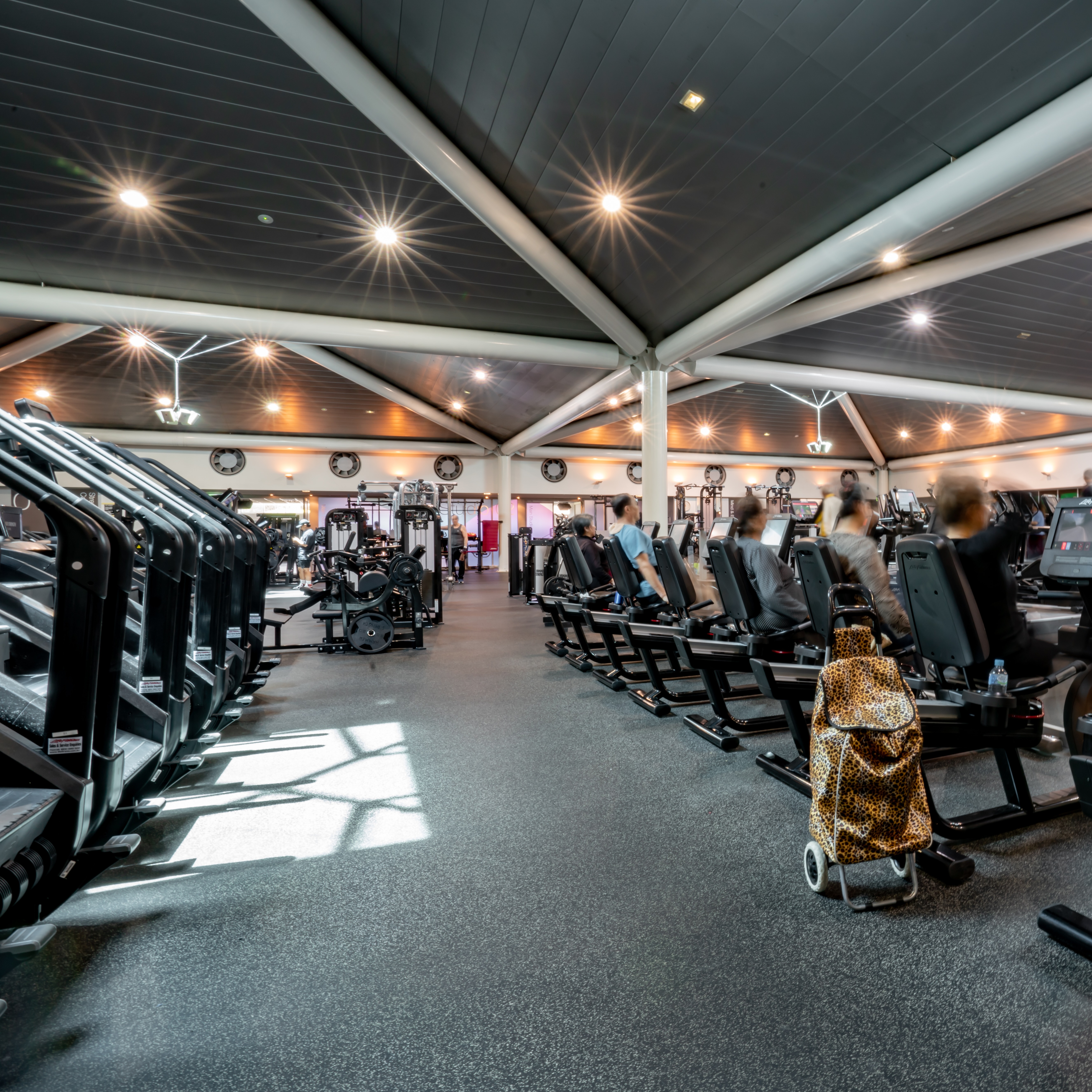 Mounties Care - Home Page - illustration 9fc0cc85-761c-42d2-8fbb-87bb1fb12bd4