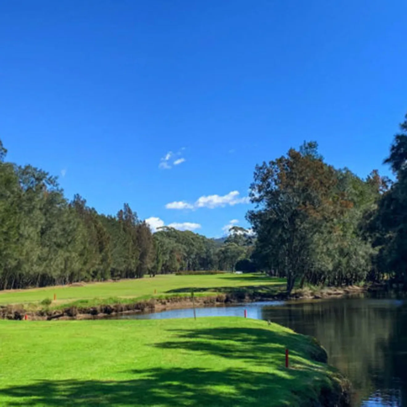 Sydney's South West | Western Sydney | Bar Western Sydney | South West pubs | Restaurants Western Sydney | Best restaurants Western Sydney | Western Sydney cafe | Italian restaurant Western Sydney - Mounties - Home Page - illustration 7126a942-c25b-45dd-b3b1-03d5cc8a1dff