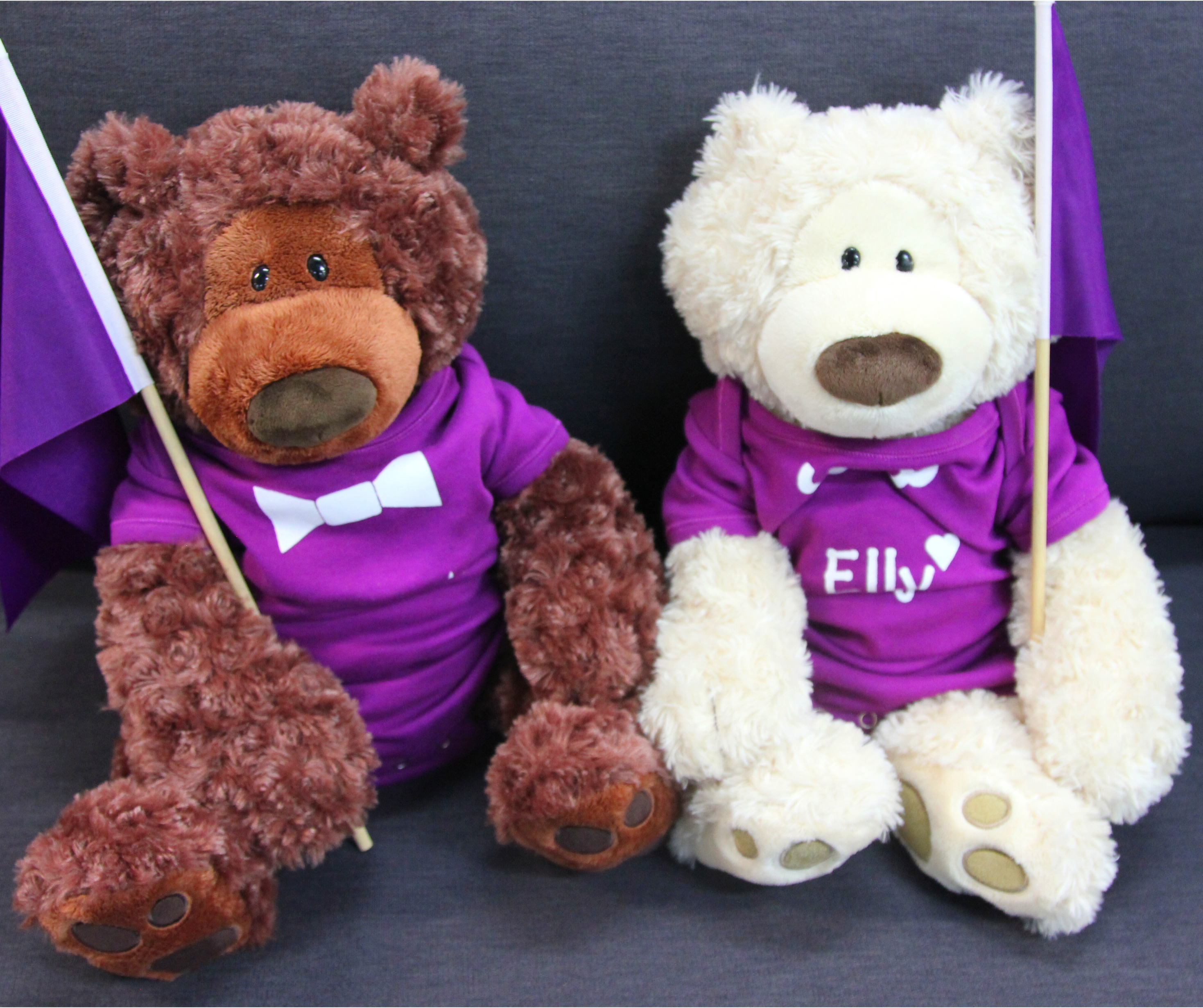 Supporting Children With Epilepsy in Western Sydney With a Special Ted-E Bear