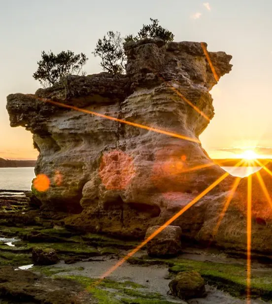 Sydney's South West | Western Sydney | Bar Western Sydney | South West pubs | Restaurants Western Sydney | Best restaurants Western Sydney | Western Sydney cafe | Italian restaurant Western Sydney - Mounties at Sussex Resort - illustration e93ffa35-b3eb-4fba-a699-020bc19f4bac