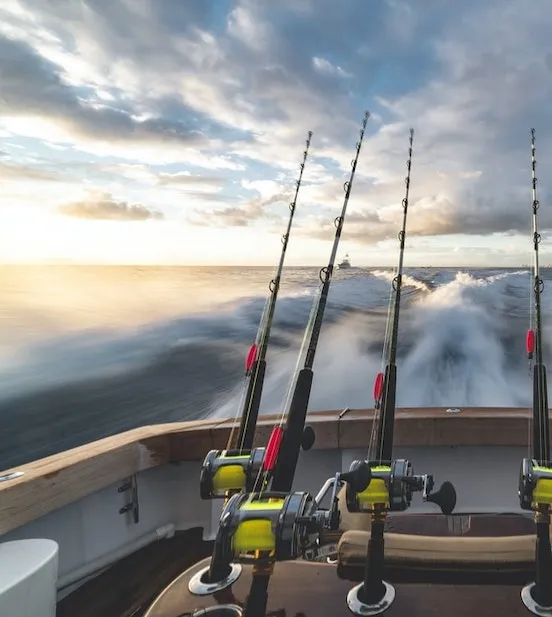 Sydney's South West | Western Sydney | Bar Western Sydney | South West pubs | Restaurants Western Sydney | Best restaurants Western Sydney | Western Sydney cafe | Italian restaurant Western Sydney - Mounties at Sussex Resort - illustration d1ddafaa-da81-47a1-afc5-5bd66caf354b