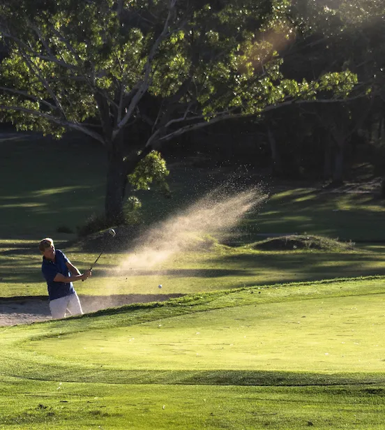 Sydney's South West | Western Sydney | Bar Western Sydney | South West pubs | Restaurants Western Sydney | Best restaurants Western Sydney | Western Sydney cafe | Italian restaurant Western Sydney - Mounties at Sussex Resort - illustration 63887cd3-1ee1-43d3-bc55-35afb42bd801