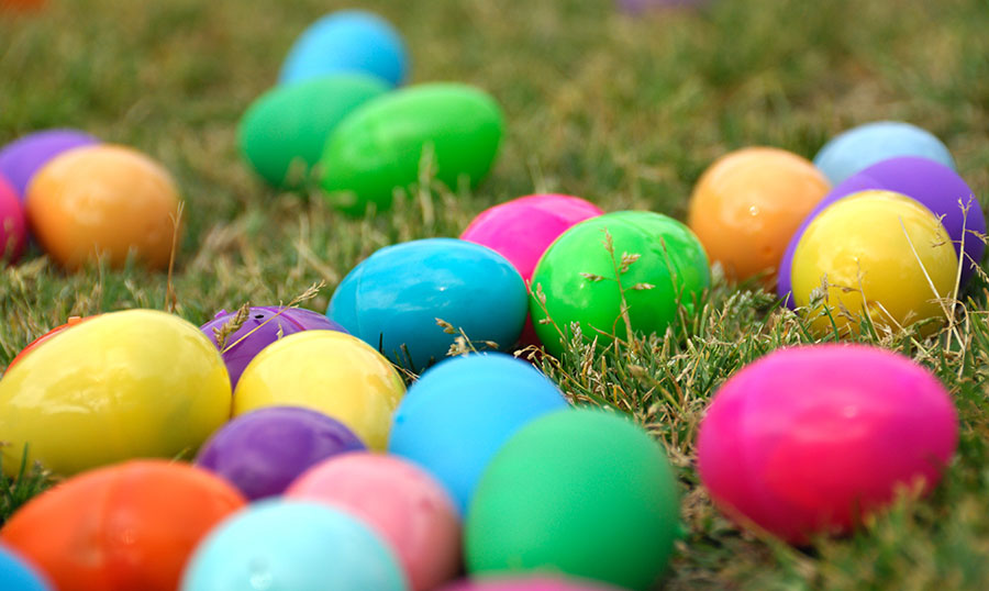 Harbord Diggers Gets Set For Huge Easter Family Fun Day Easter Egg Hunt