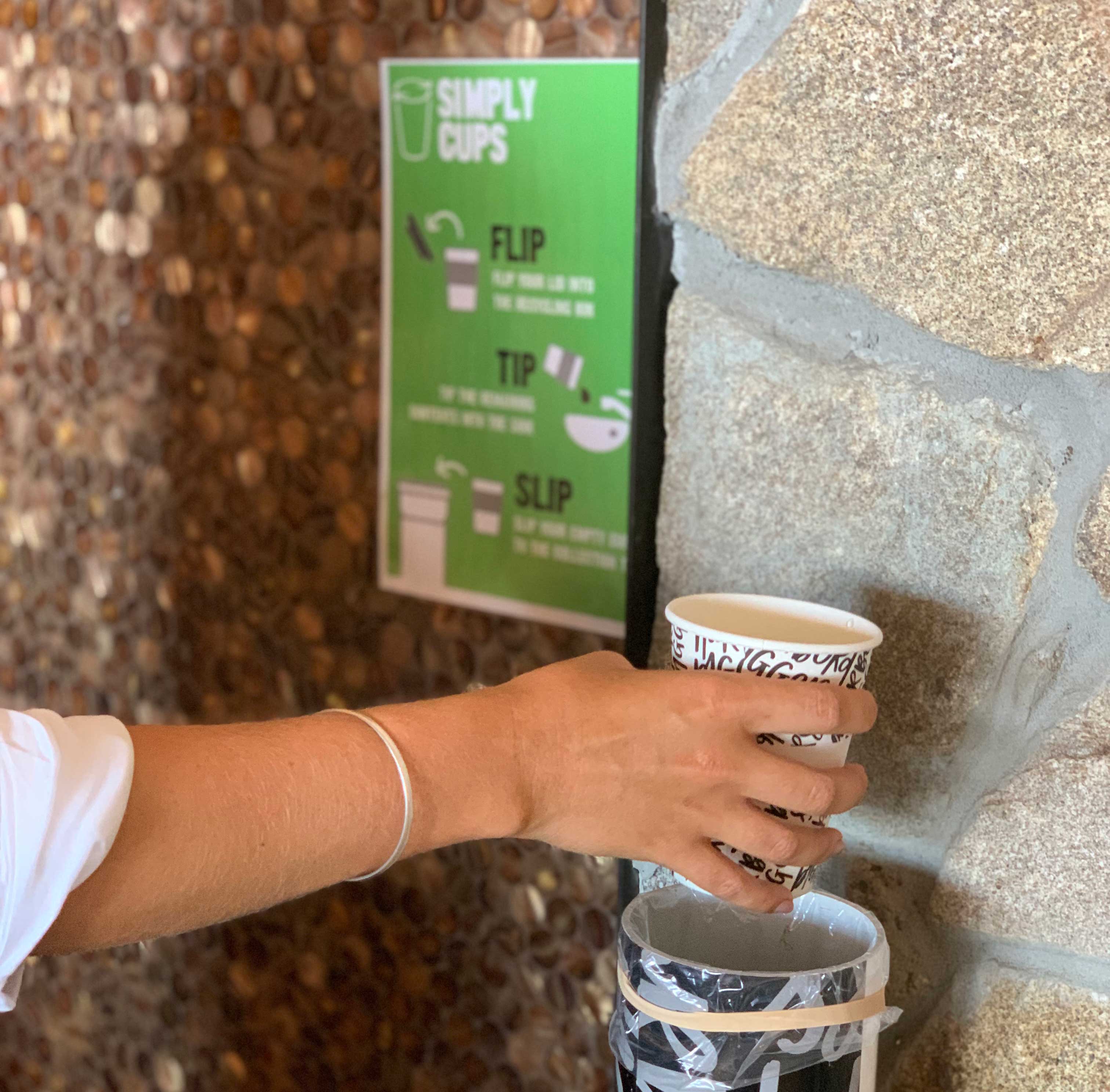  Harbord Diggers Sustainability Initiatives