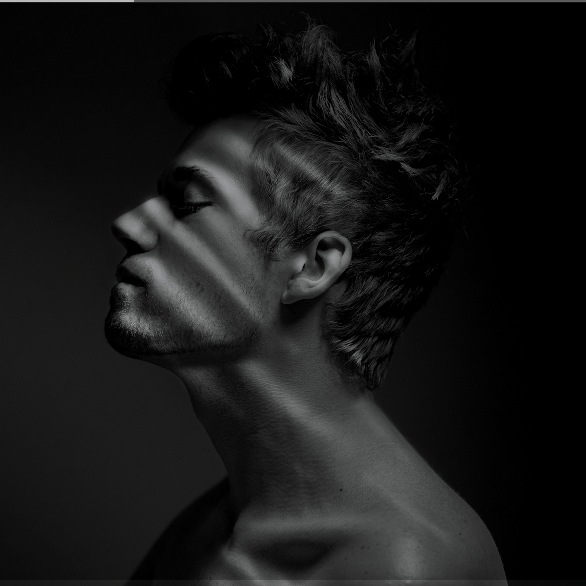 Sydney's South West | Western Sydney | Bar Western Sydney | South West pubs | Restaurants Western Sydney | Best restaurants Western Sydney | Western Sydney cafe | Italian restaurant Western Sydney - Opulence 254 - illustration 3e148784-4305-41f7-87b4-9c355756615c